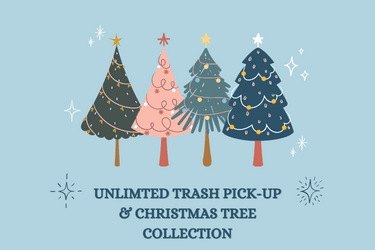 Trash and Tree Collection 2022