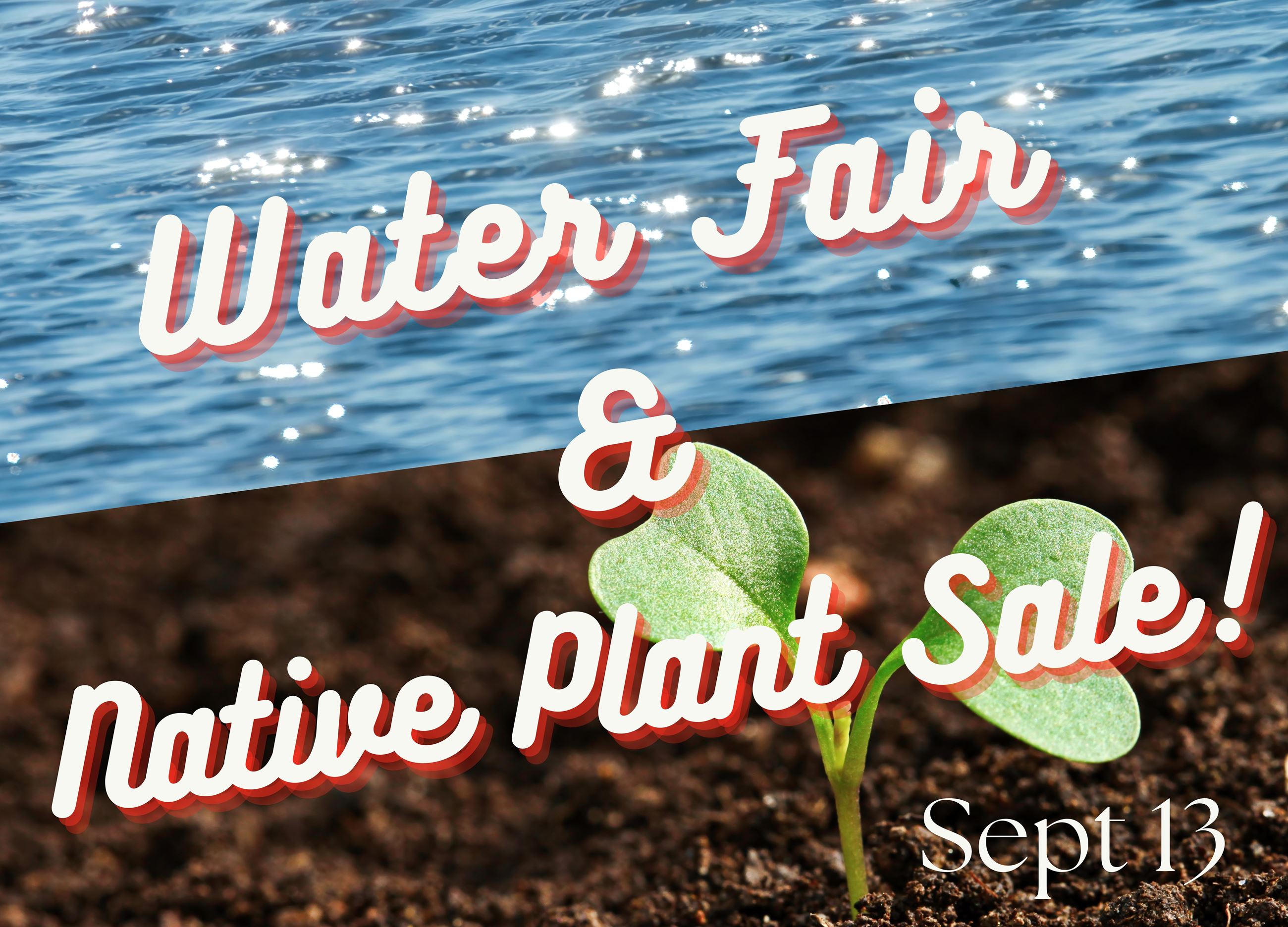 Ripples and Native Plant Sale (2)