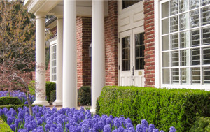 Building with Flowers